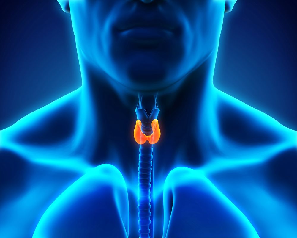 Causes of Thyroid Causes of Thyroid