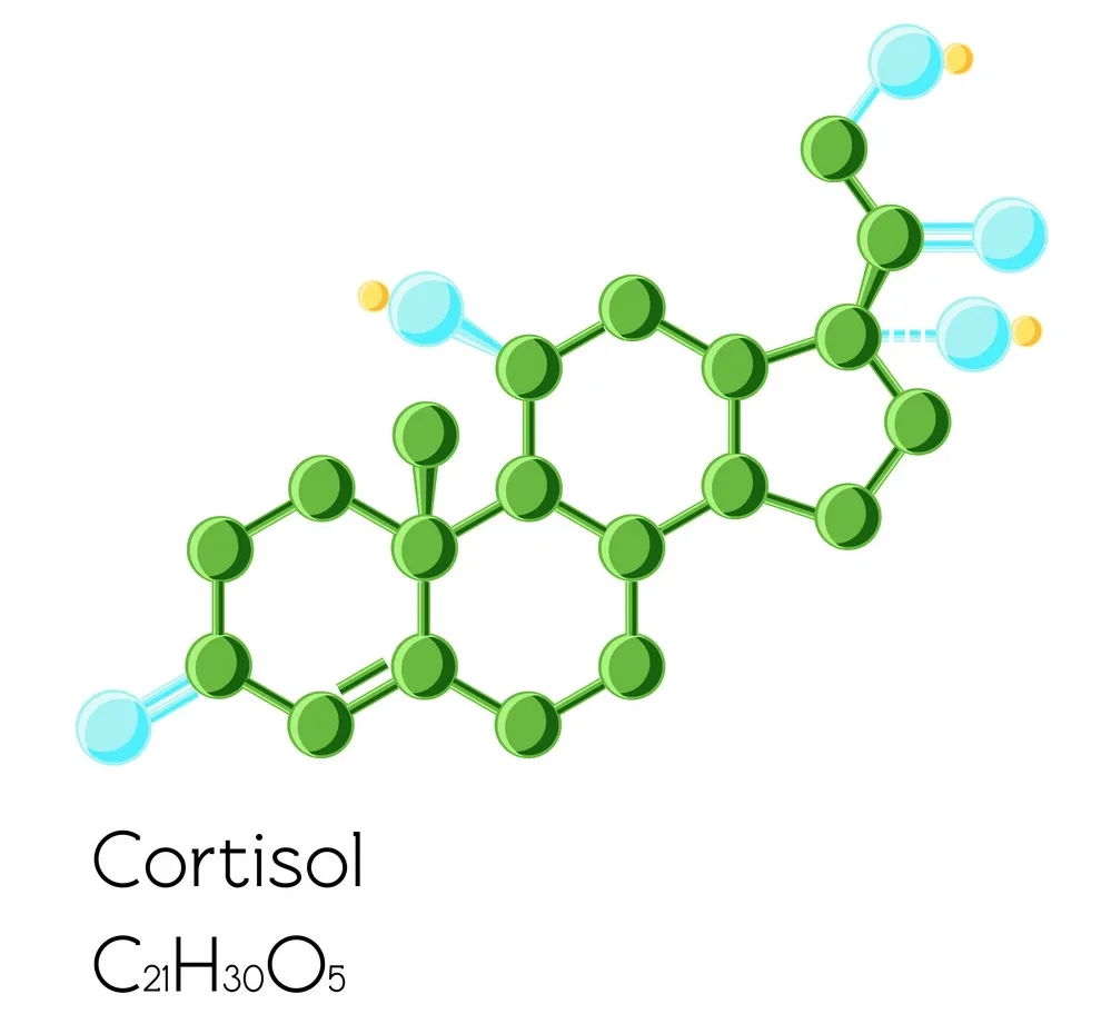 Cortisol affects many different systems in the body