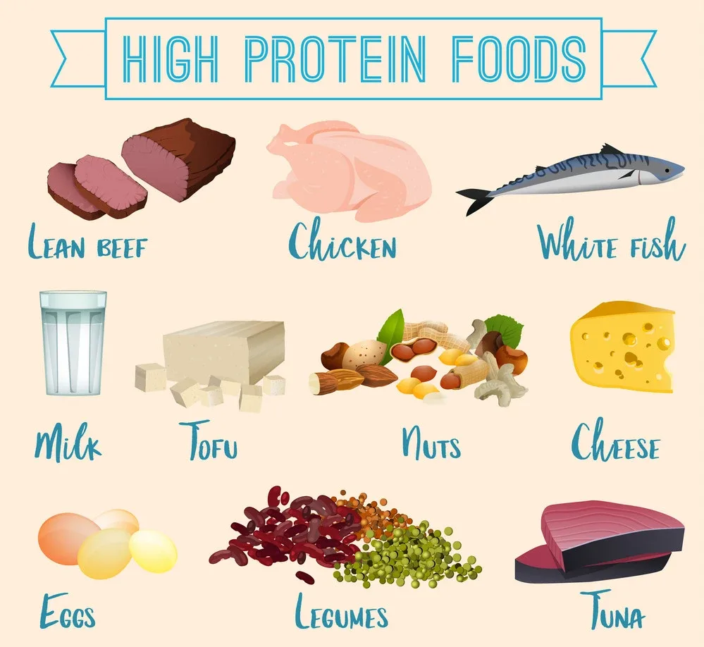 Eating more protein