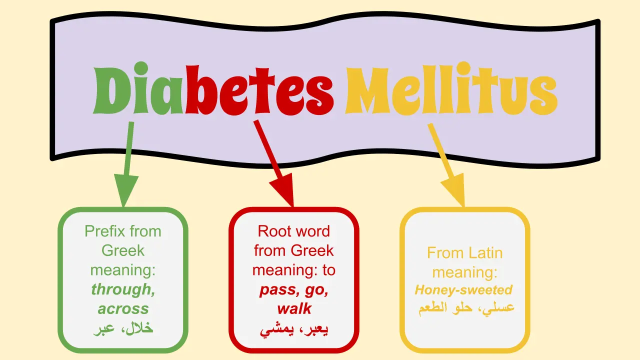 What is the meaning of mellitus in diabetes mellitus?
